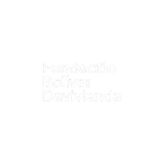 Fundación Bolivar
